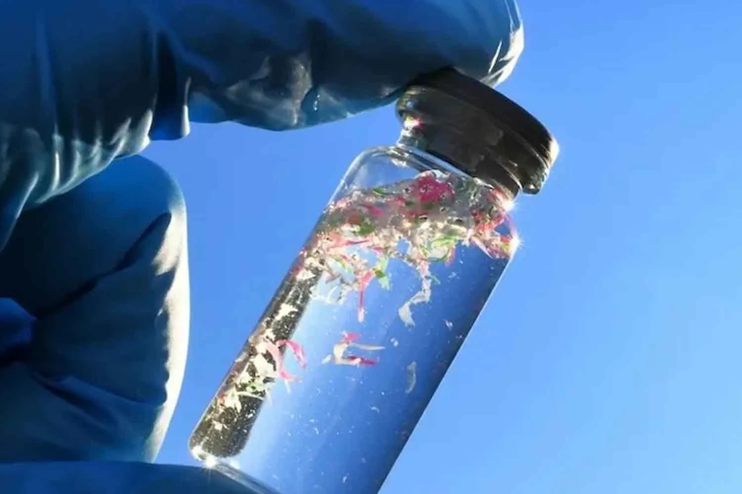 Cosa succede alle microplastiche quando finiscono nell’acqua? Scienziati scoprono un rischio sottovalutato per la salute