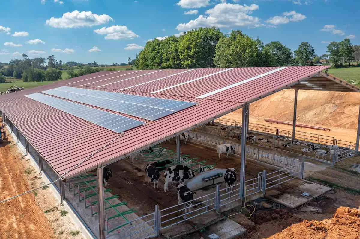 Facility Parco Agrisolare, più progetti esclusi che ammessi